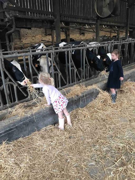 Gite Ferme Cidricole Et Laitiere Villa Magny-le-Desert Ngoại thất bức ảnh